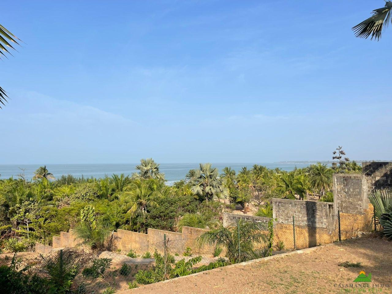 WhatsApp Image 2023-02-05 at 13.04.22 (2)