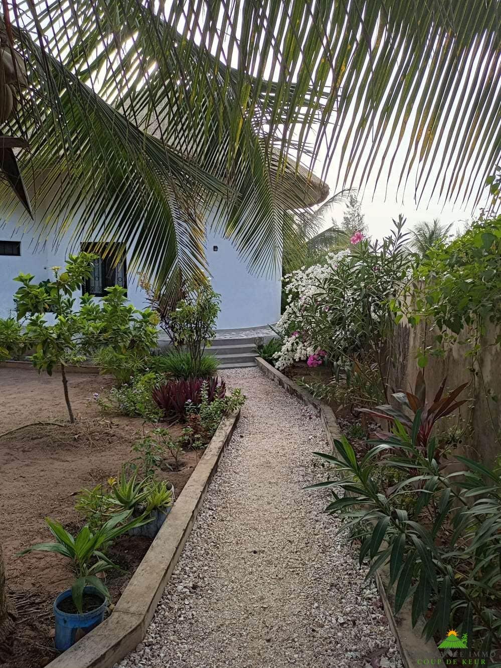 IMG_20210204_174437_410