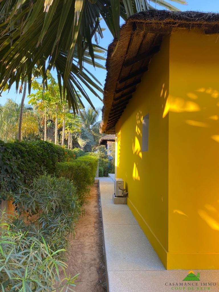 WhatsApp Image 2023-02-03 at 14.46.58