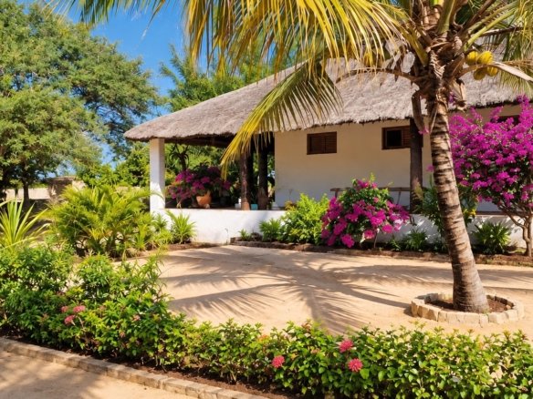 Entre rizières et Océan, dans l’intimité d’un lieu magique près des immenses fromagers , à seulement cinq minutes du village et de la plage, cette propriété façonnée par des artisans locaux offre une atmosphère authentique, bercée par l’âme et les traditions africaines.