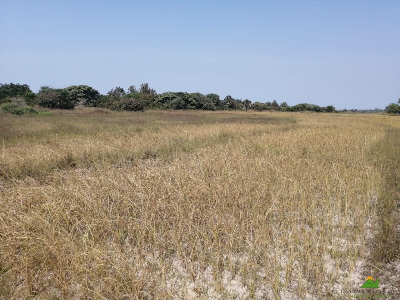 WhatsApp Image 2022-01-10 at 10.54.14 (10)