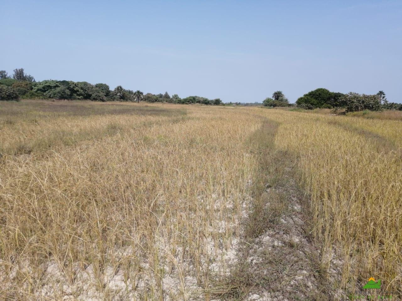 WhatsApp Image 2022-01-10 at 10.54.14 (11)