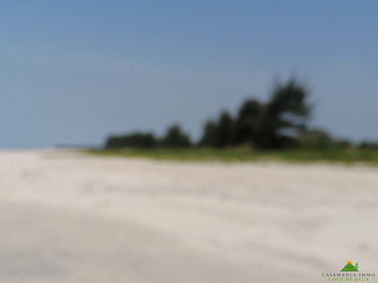 WhatsApp Image 2022-01-10 at 10.54.14 (12)