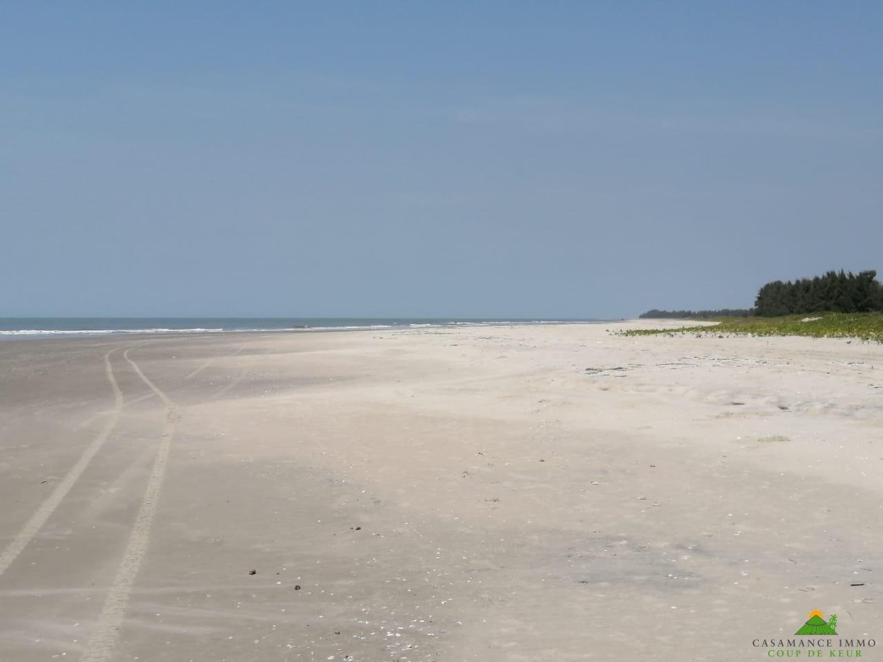 WhatsApp Image 2022-01-10 at 10.54.14 (13)