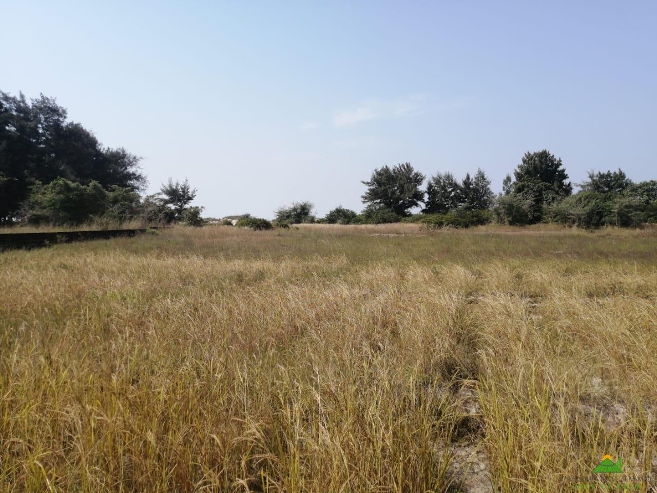 WhatsApp Image 2022-01-10 at 10.54.14 (14)