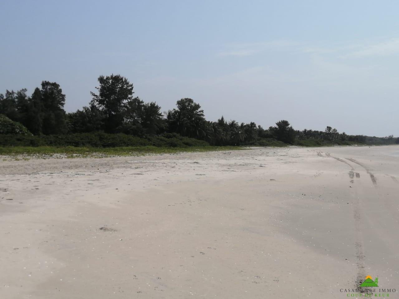 WhatsApp Image 2022-01-10 at 10.54.14 (15)