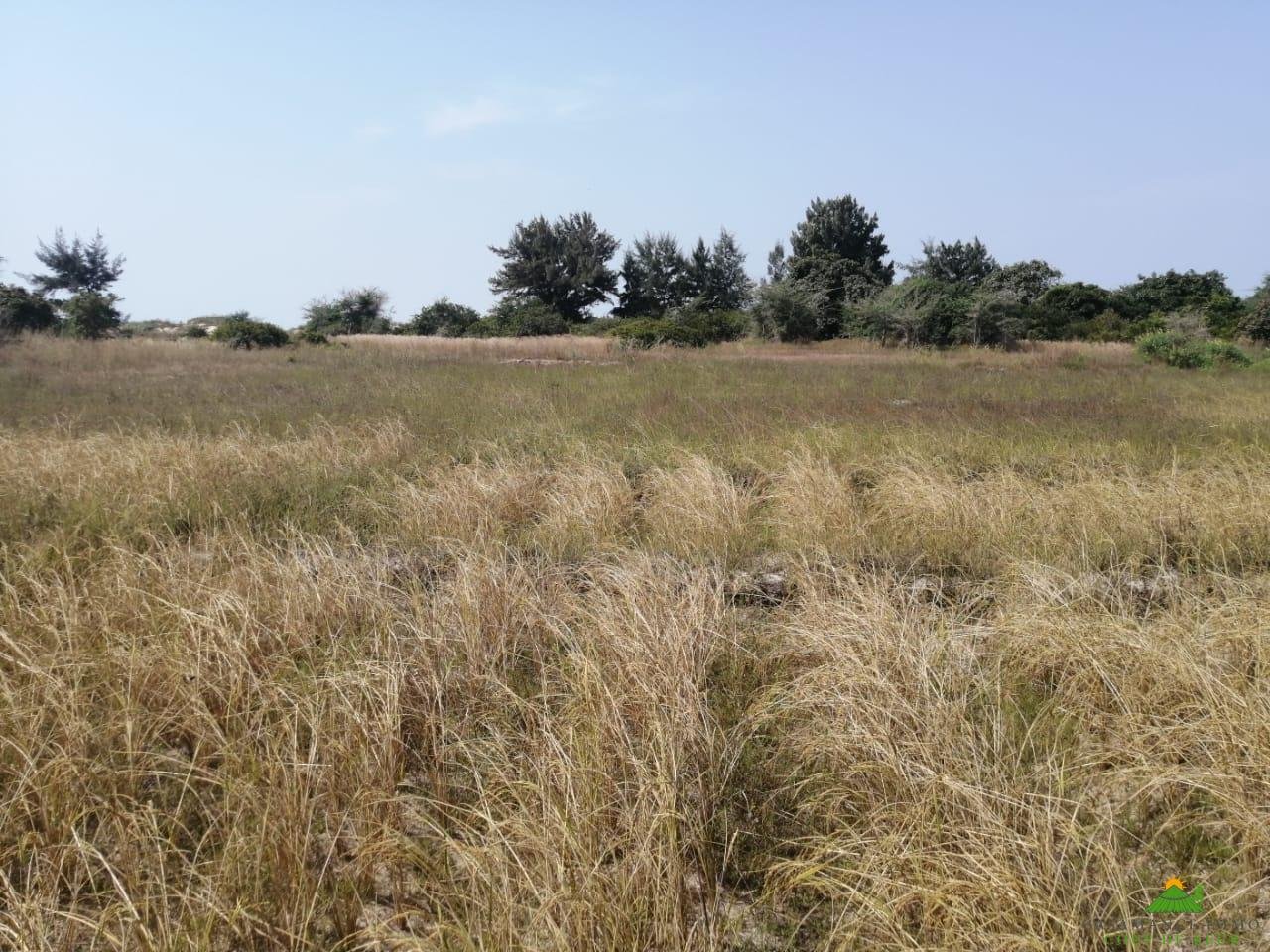 WhatsApp Image 2022-01-10 at 10.54.14 (16)