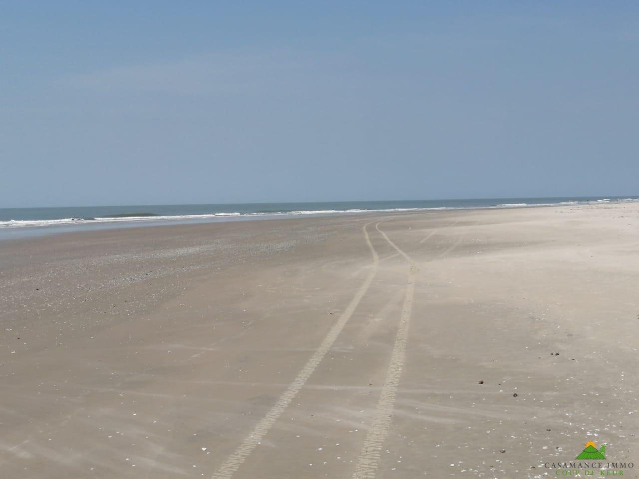 WhatsApp Image 2022-01-10 at 10.54.14 (17)