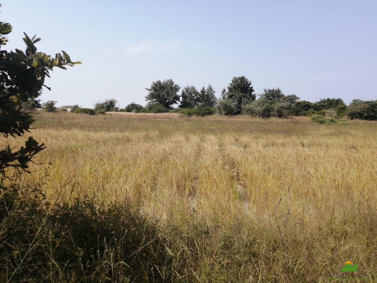 WhatsApp Image 2022-01-10 at 10.54.14 (3)