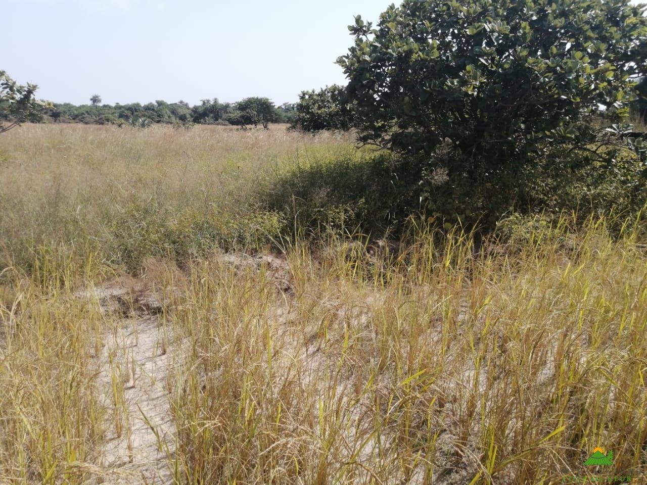 WhatsApp Image 2022-01-10 at 10.54.14 (4)