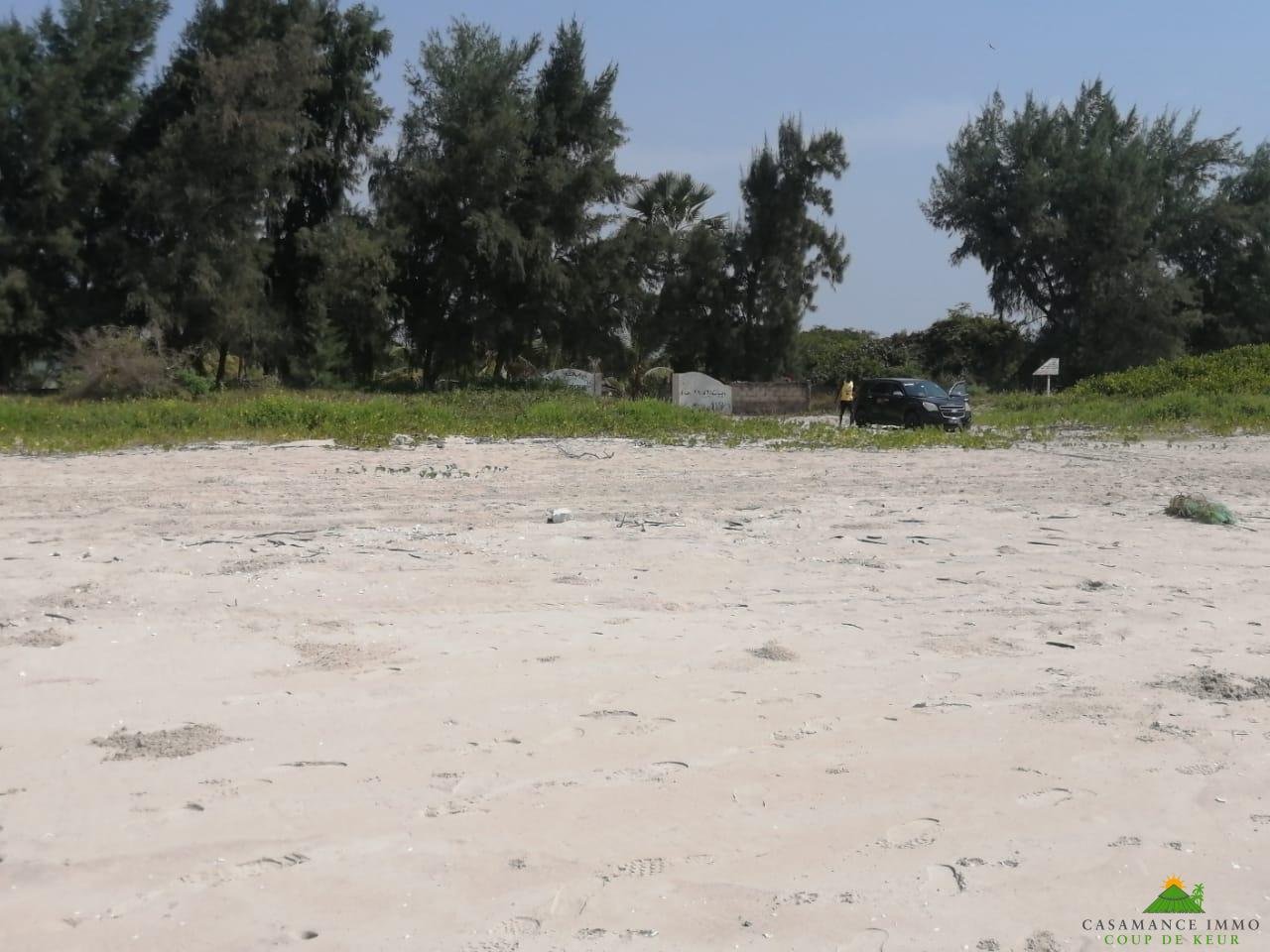 WhatsApp Image 2022-01-10 at 10.54.14 (8)