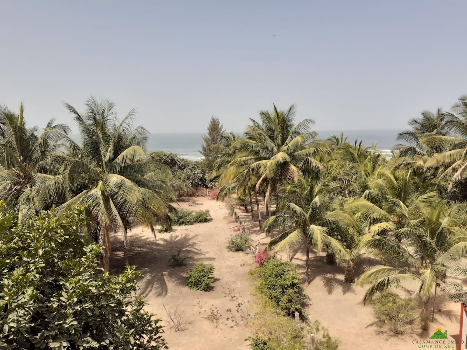 WhatsApp Image 2022-03-18 at 11.05.34