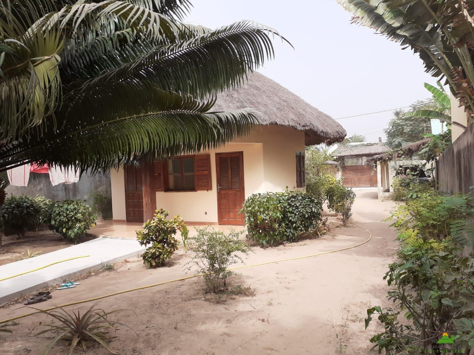 WhatsApp Image 2022-03-18 at 11.05.35