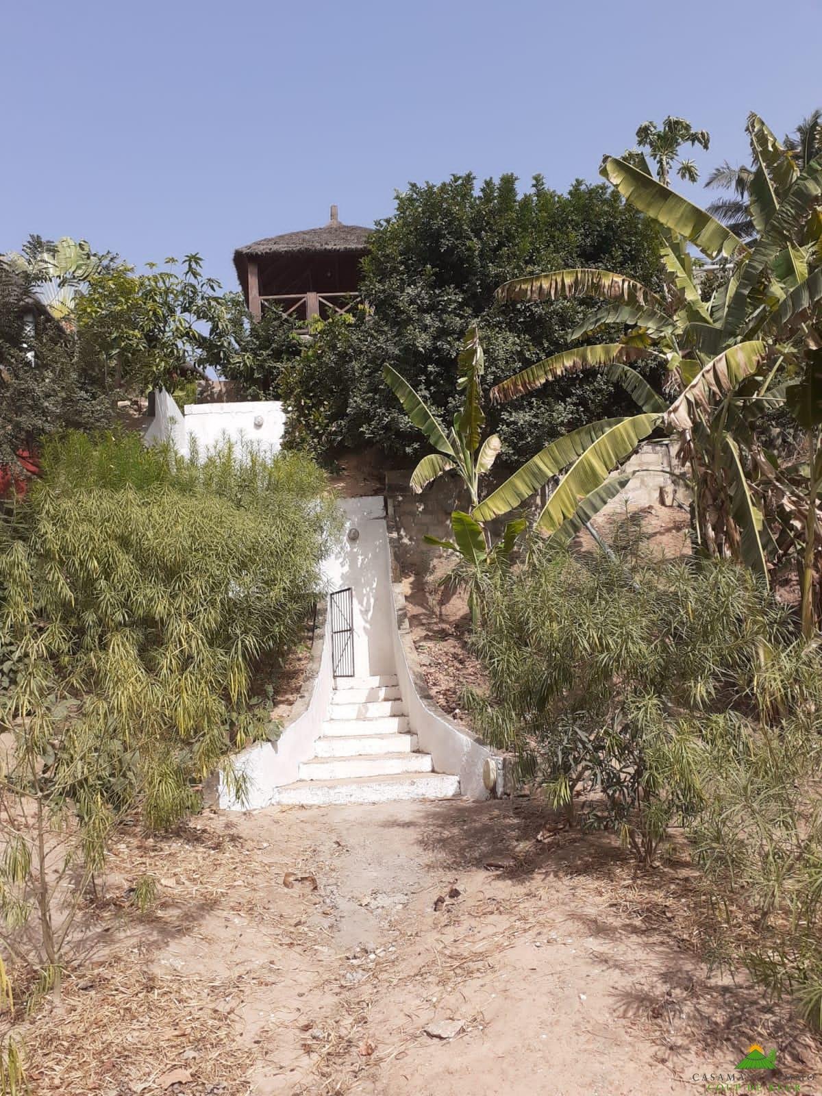 WhatsApp Image 2022-03-18 at 11.05.36