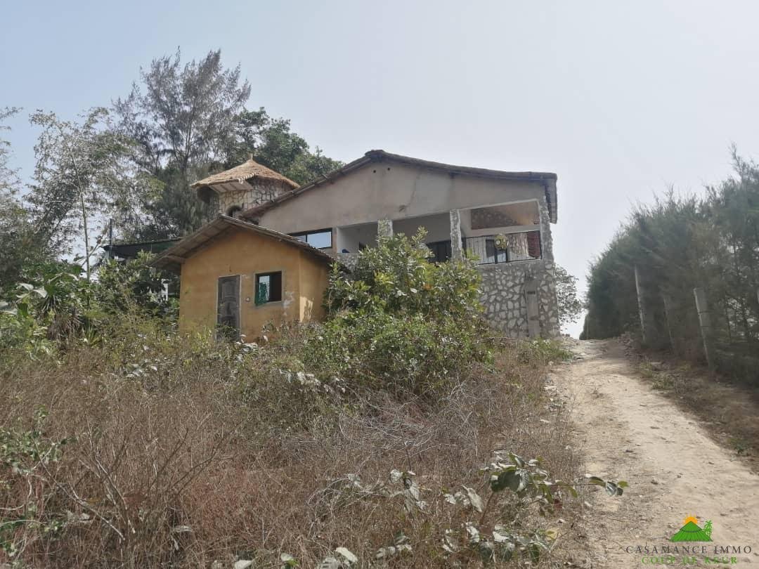 WhatsApp Image 2022-03-24 at 11.10.33