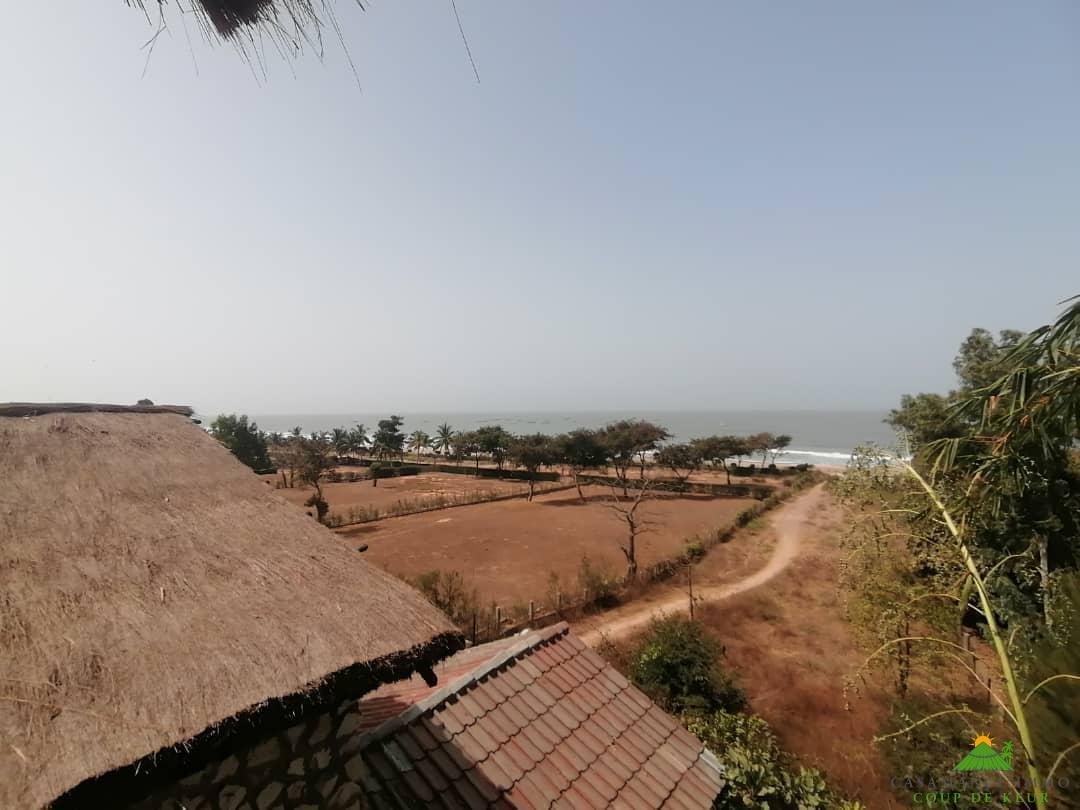 WhatsApp Image 2022-03-24 at 11.10.45