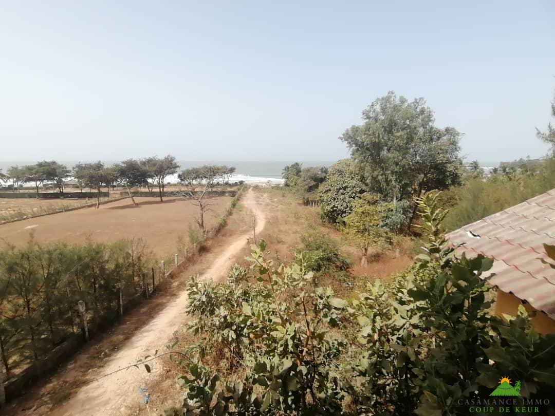 WhatsApp Image 2022-03-24 at 11.10.51 (1)