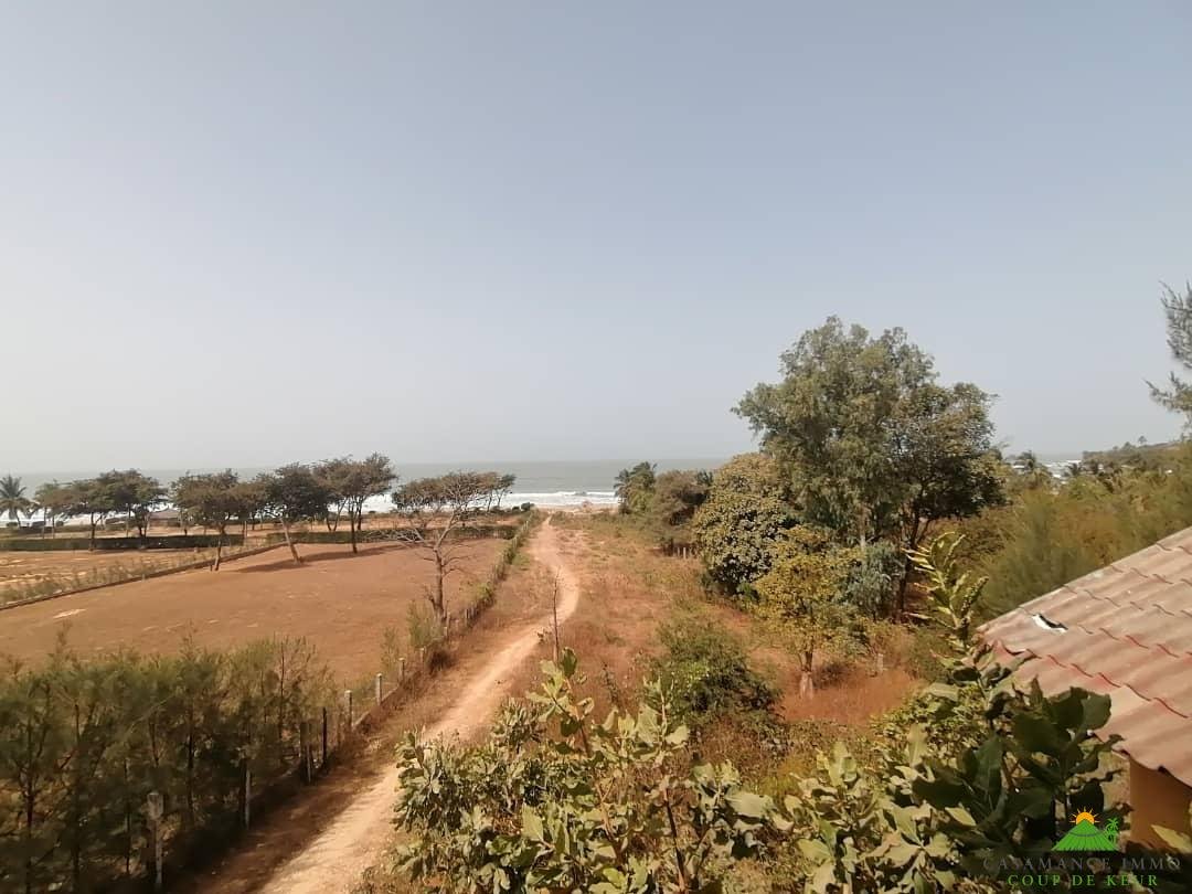 WhatsApp Image 2022-03-24 at 11.10.51