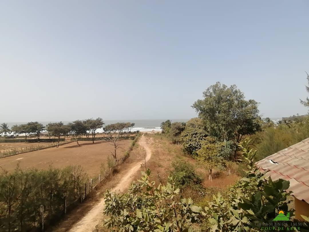 WhatsApp Image 2022-03-24 at 11.10.52