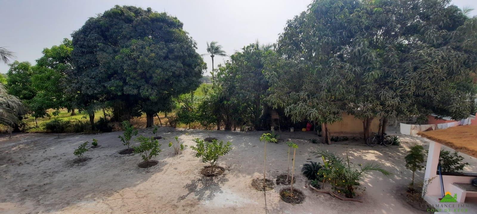 WhatsApp Image 2022-03-26 at 16.45.16 (1)