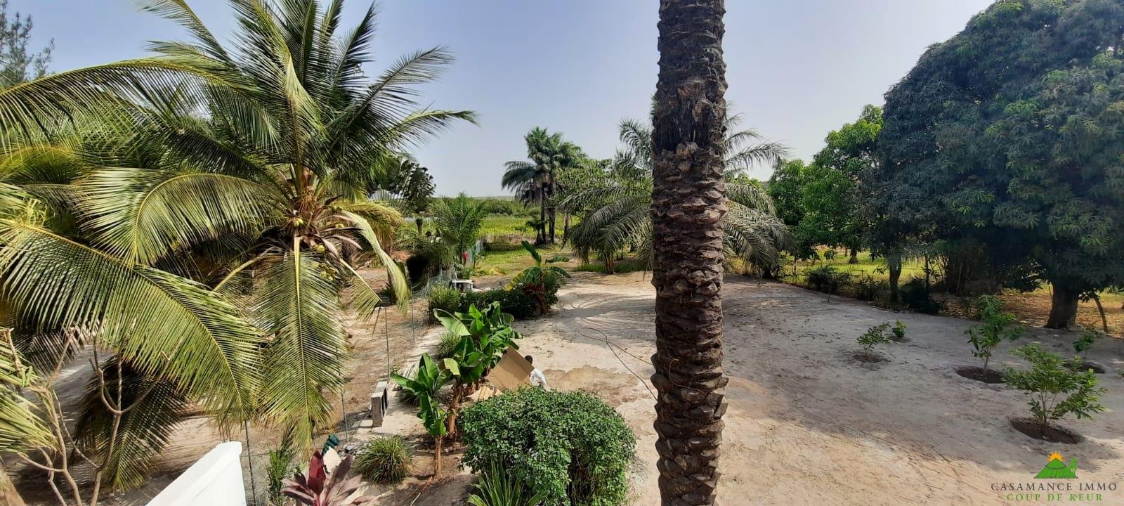 WhatsApp Image 2022-03-26 at 16.45.16