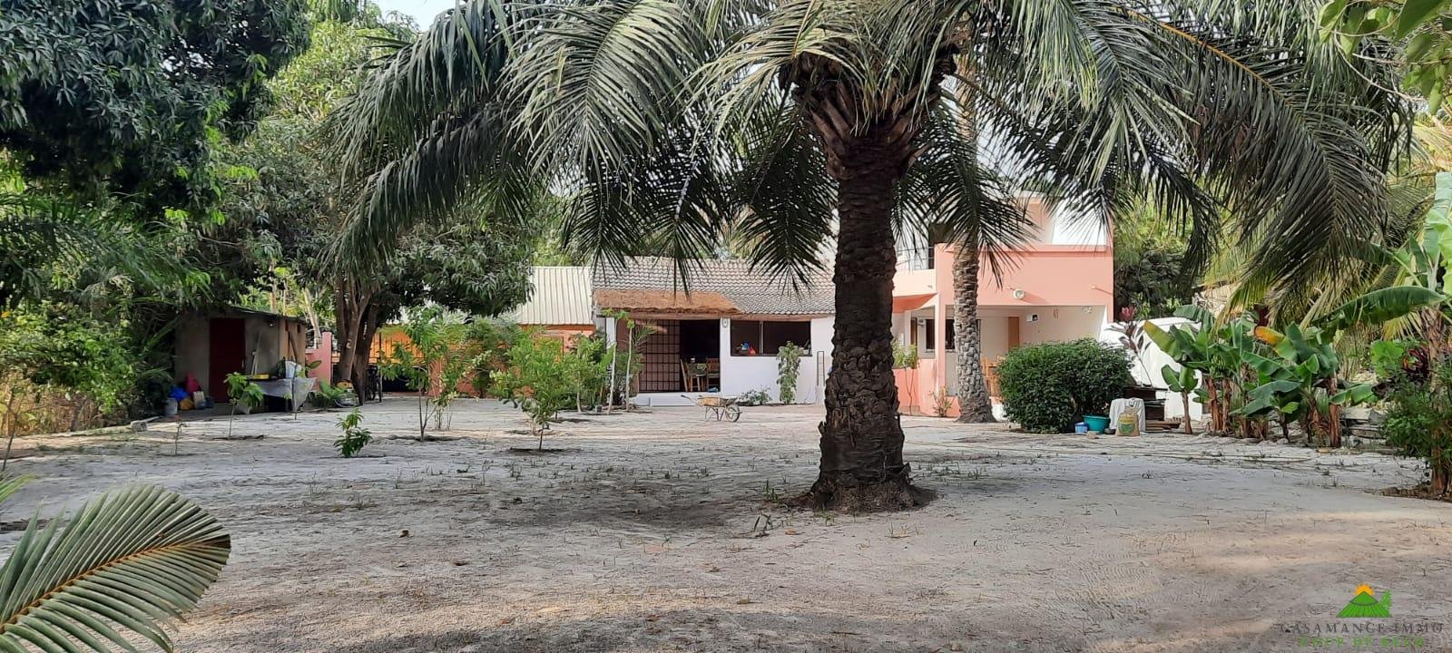 WhatsApp Image 2022-03-26 at 16.45.39