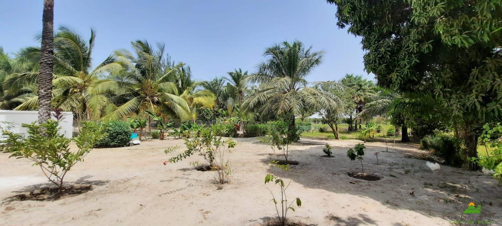 WhatsApp Image 2022-03-26 at 16.46.21