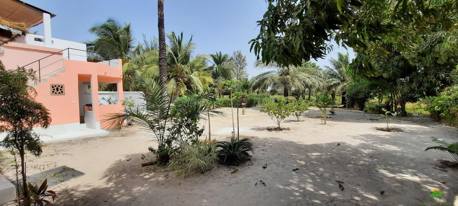 WhatsApp Image 2022-03-26 at 16.46.23