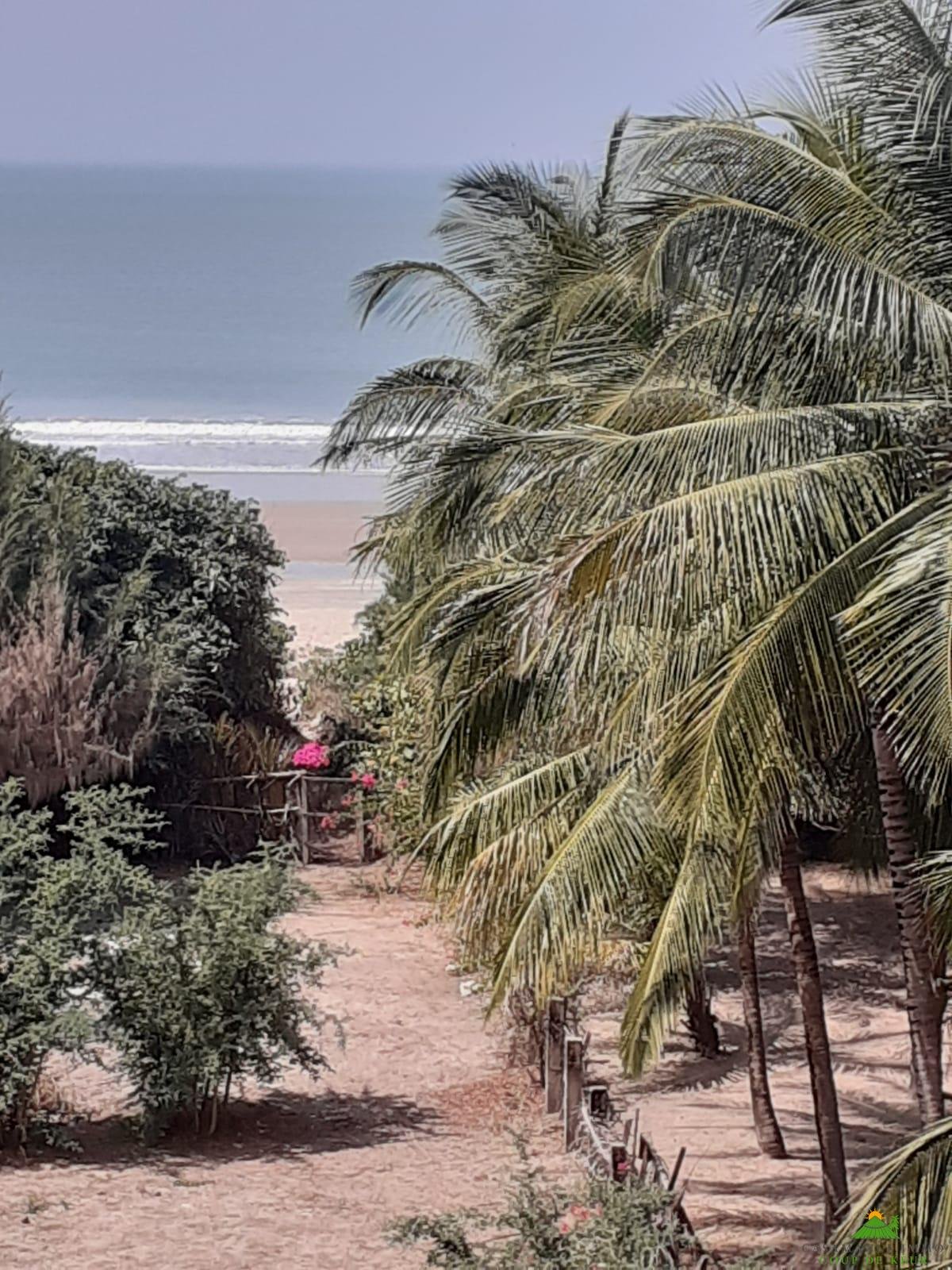 WhatsApp Image 2023-02-05 at 11.24.18