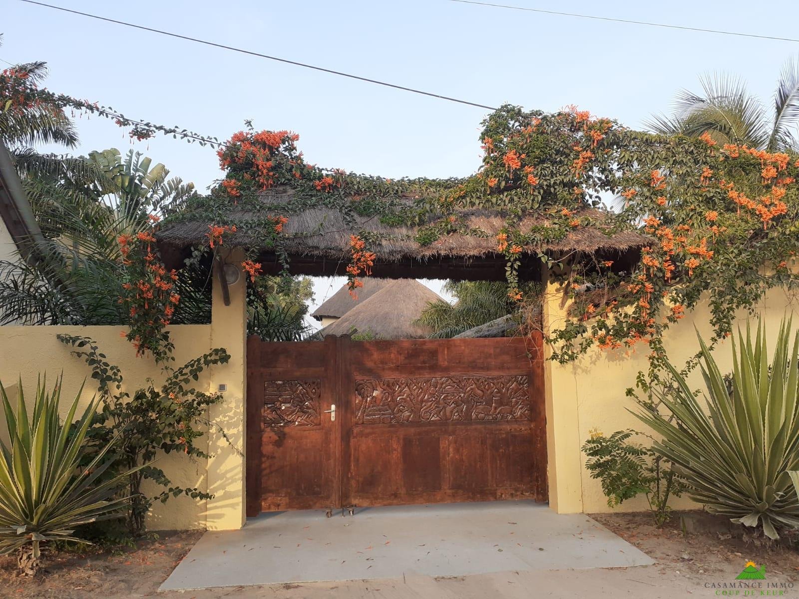 WhatsApp Image 2023-02-05 at 11.25.17