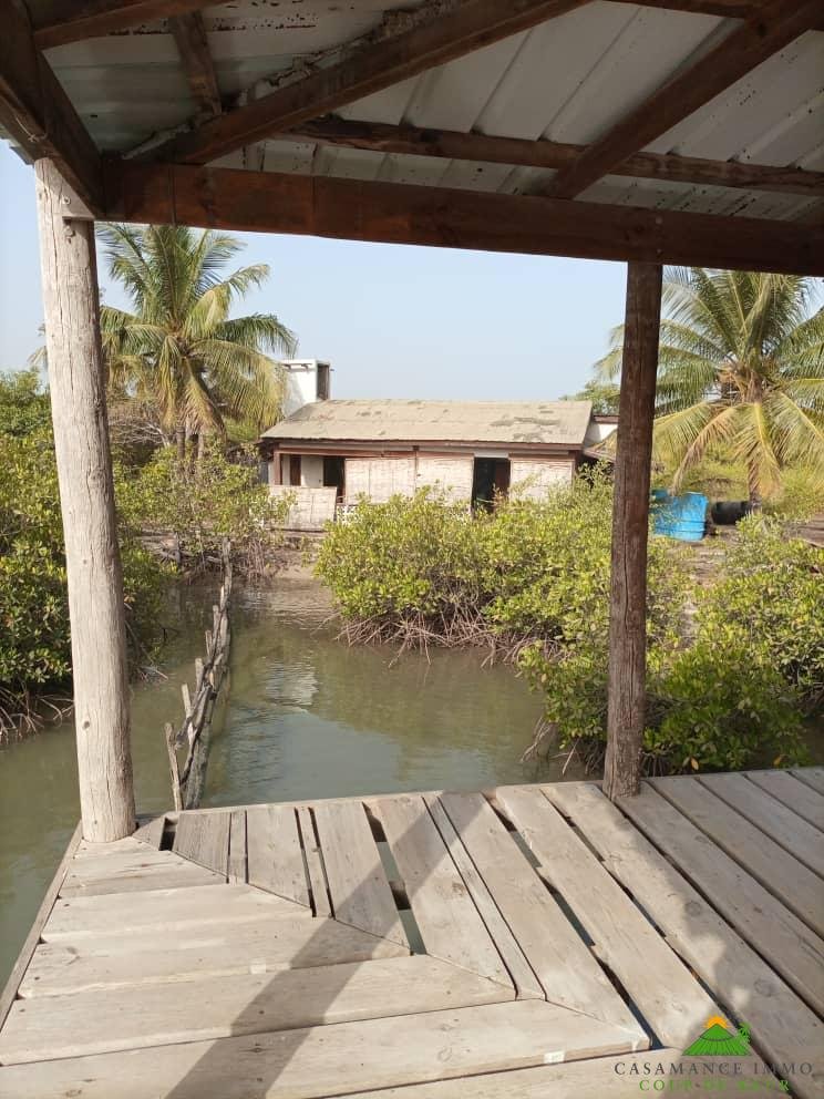 WhatsApp Image 2022-06-01 at 09.53.26