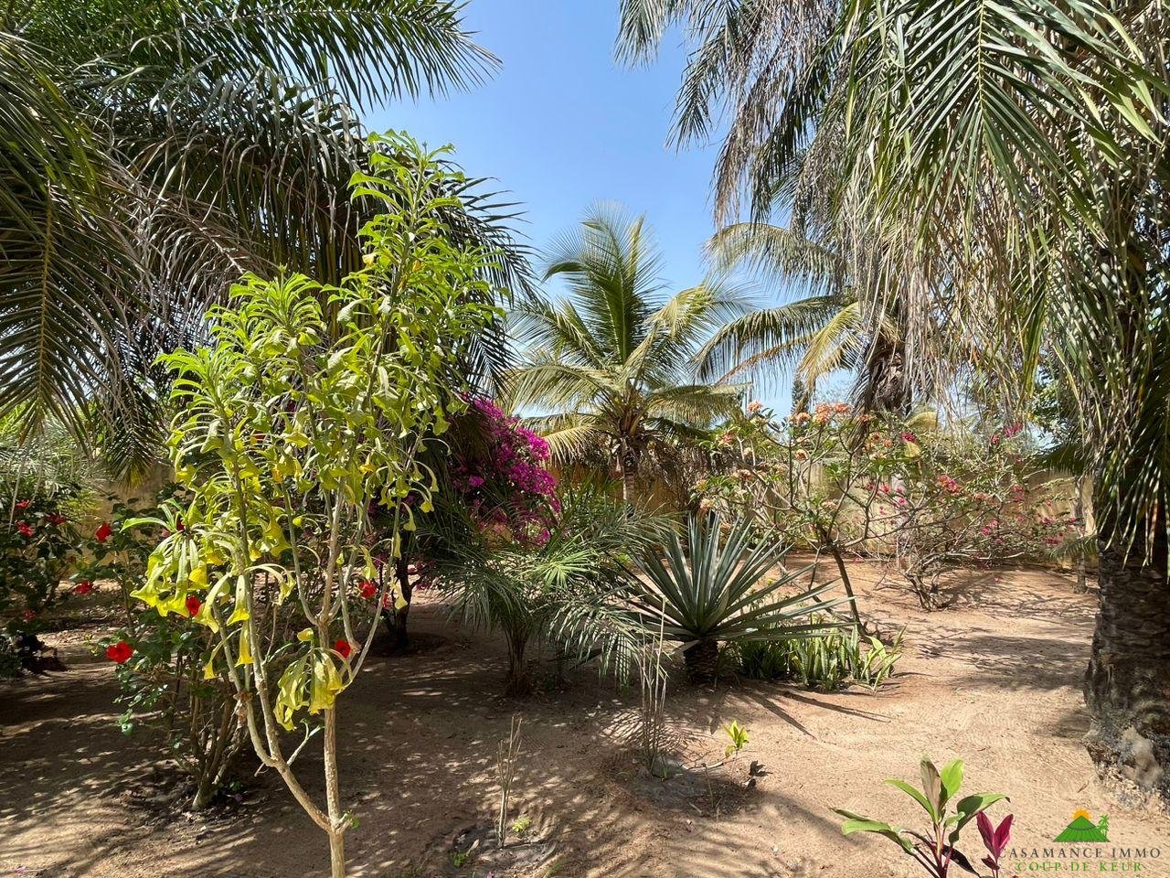 WhatsApp Image 2023-05-05 at 11.46.49 (1)