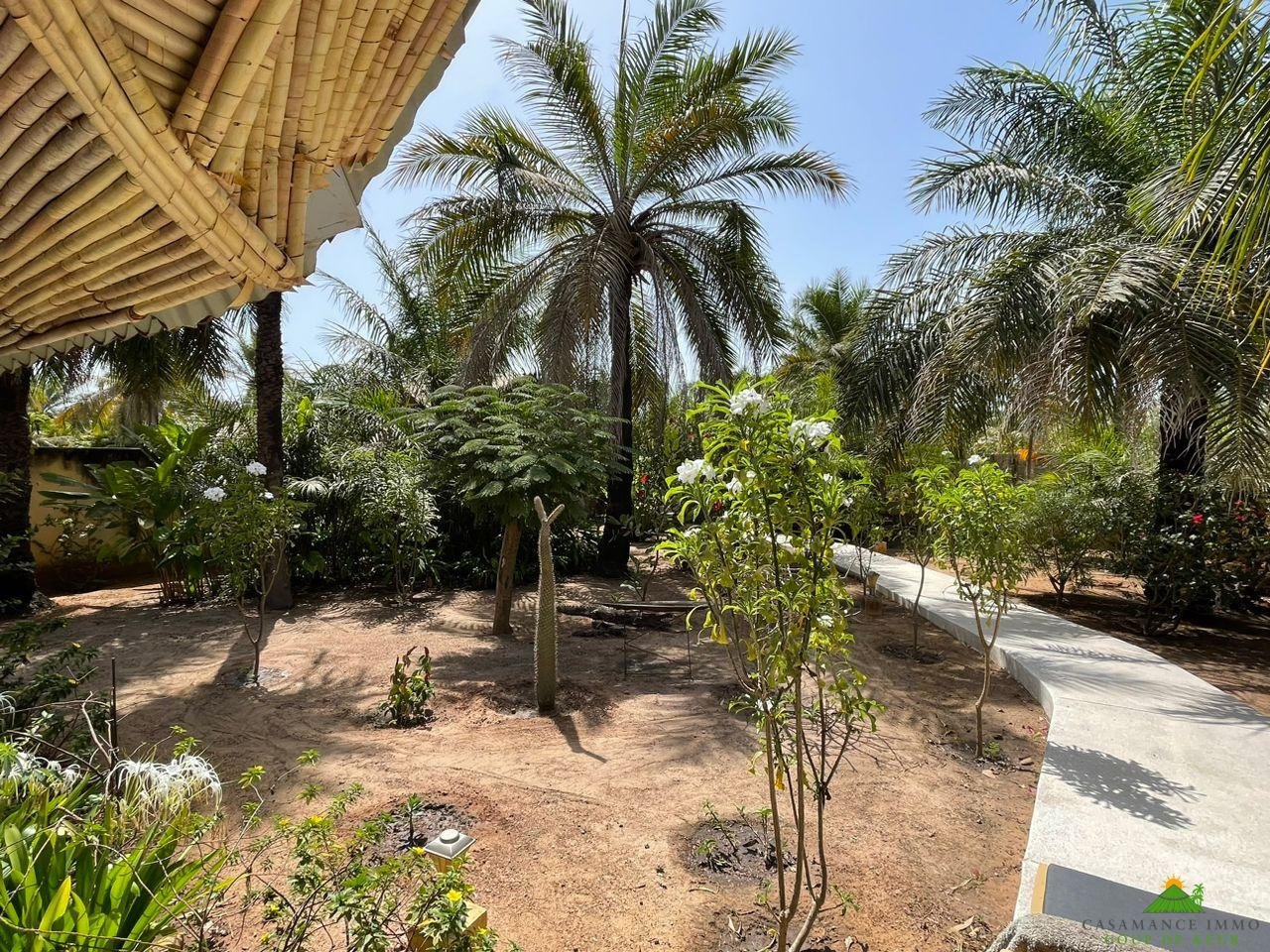 WhatsApp Image 2023-05-05 at 11.46.49