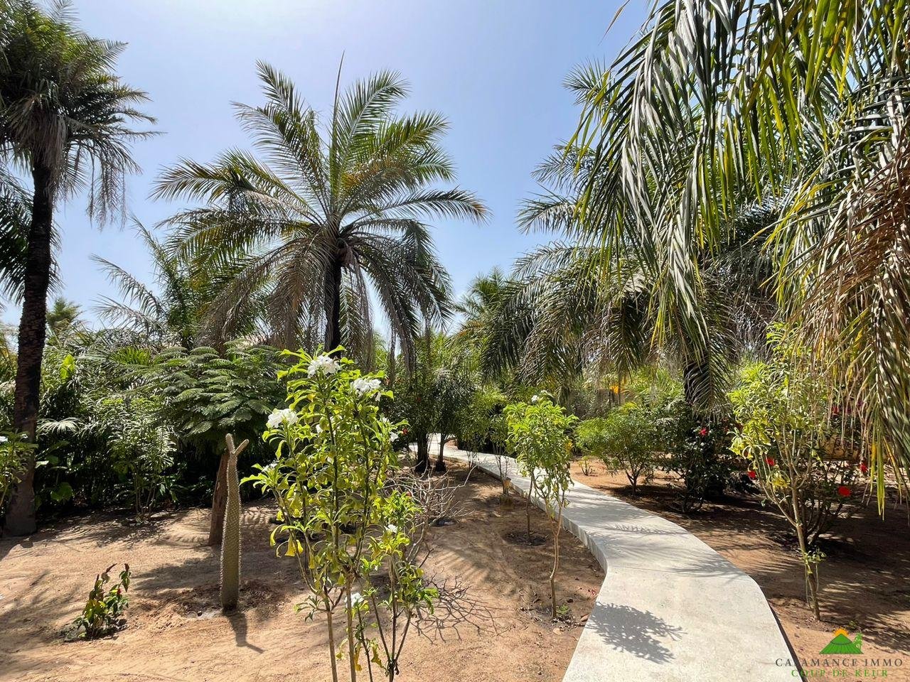 WhatsApp Image 2023-05-05 at 11.46.51