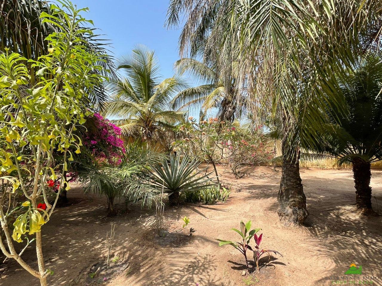 WhatsApp Image 2023-05-05 at 11.46.52 (1)