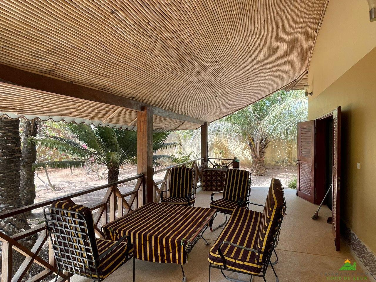 WhatsApp Image 2023-05-05 at 11.46.53