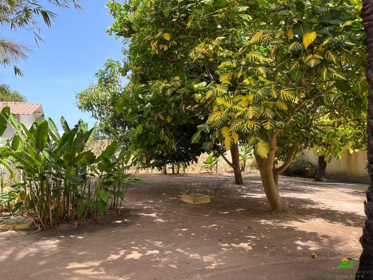 WhatsApp Image 2023-05-05 at 11.46.58 (2)