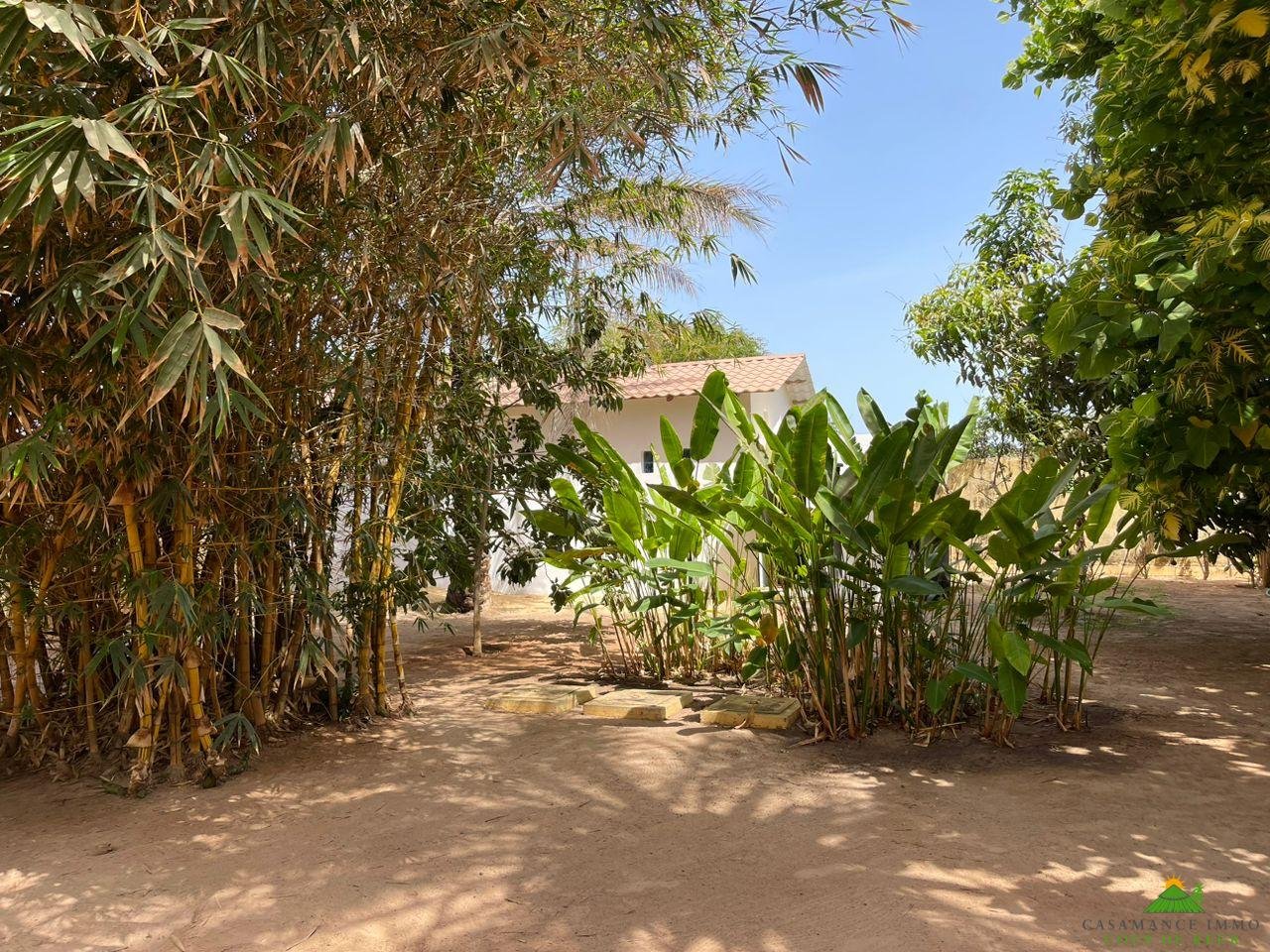 WhatsApp Image 2023-05-05 at 11.46.58 (3)