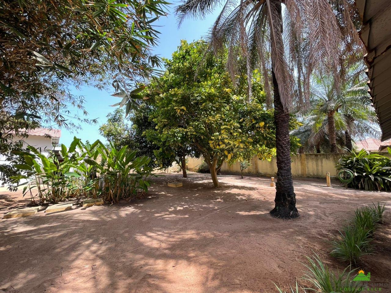 WhatsApp Image 2023-05-05 at 11.46.59 (1)