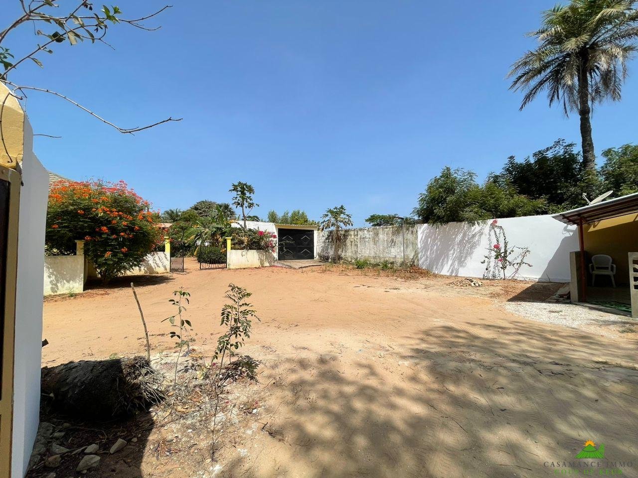 WhatsApp Image 2023-05-05 at 11.46.59