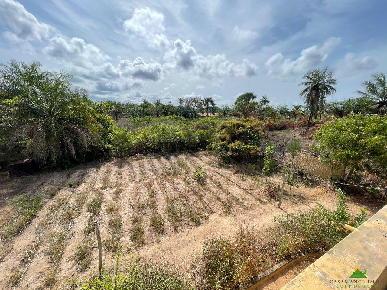 WhatsApp Image 2023-06-14 at 10.40.20 (1)