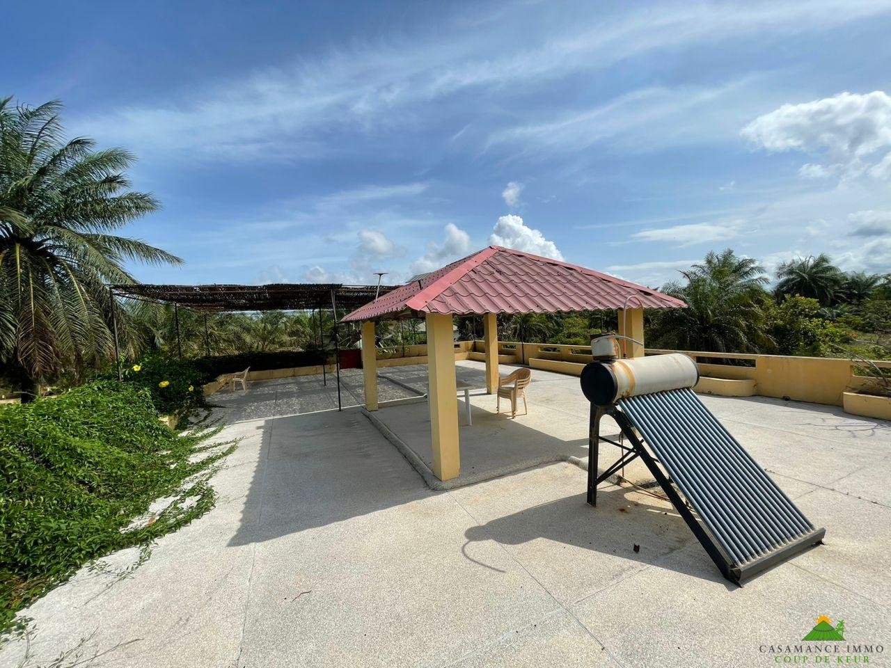 WhatsApp Image 2023-06-14 at 10.40.21 (1)