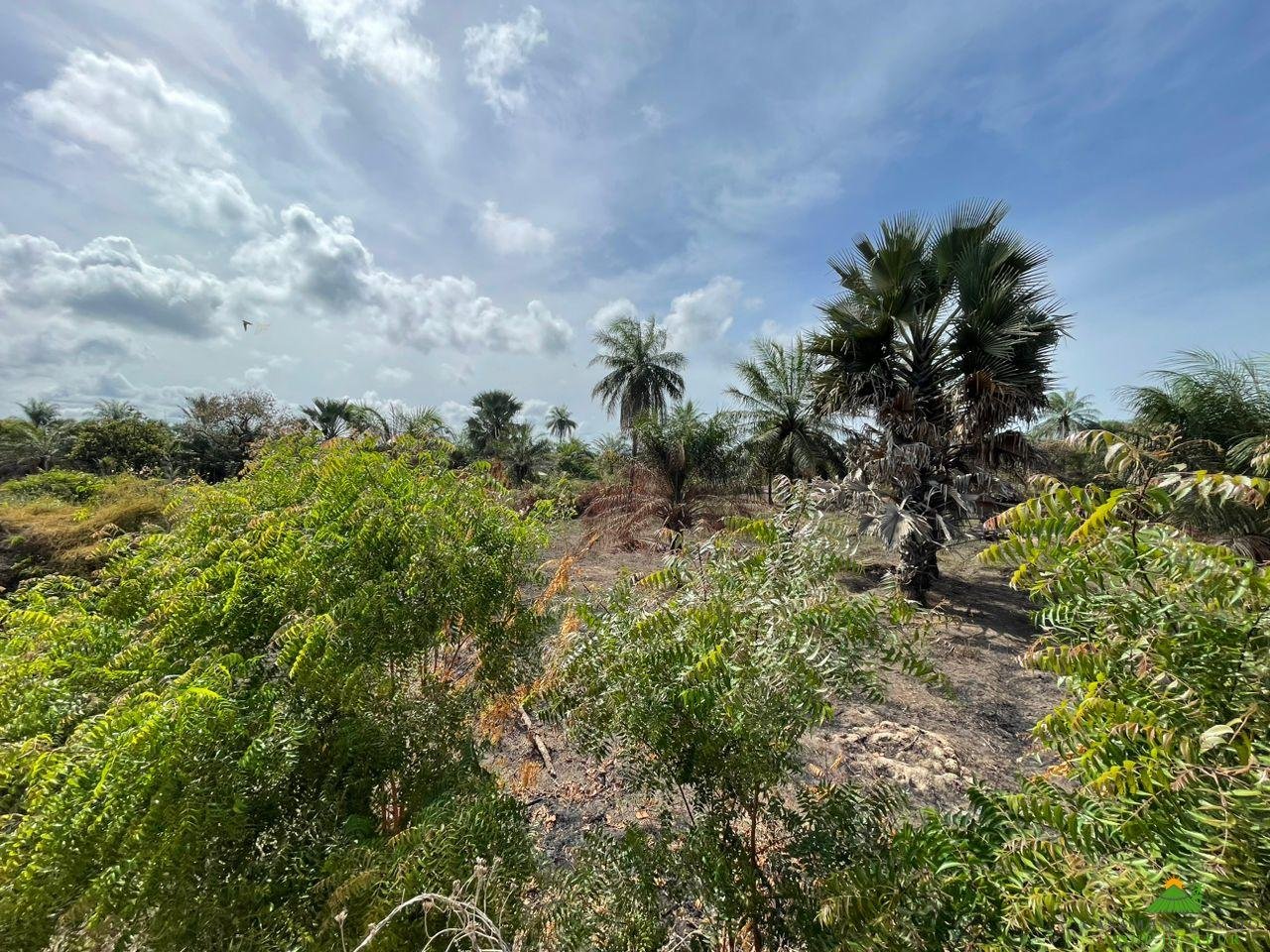 WhatsApp Image 2023-06-14 at 10.40.21