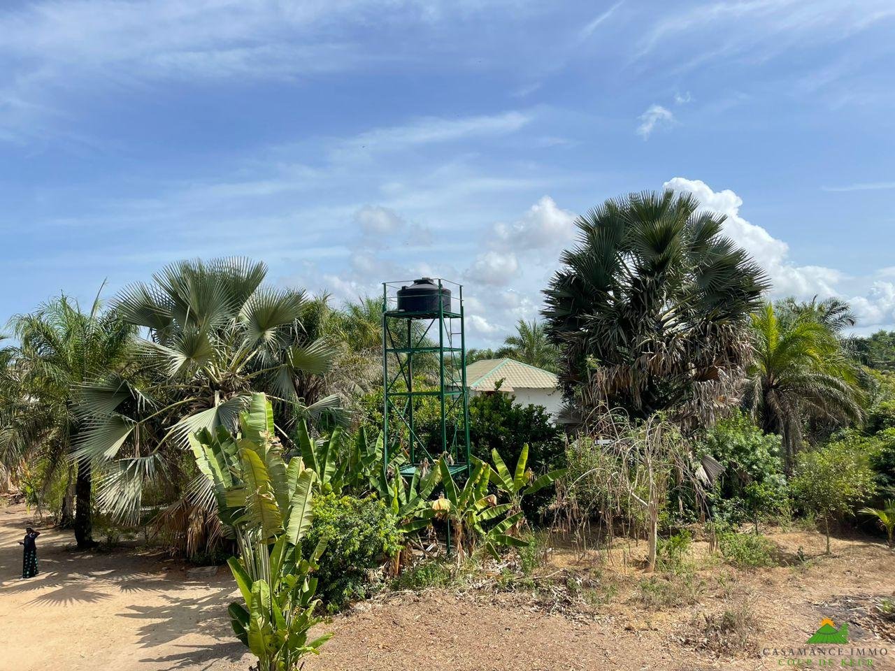 WhatsApp Image 2023-06-14 at 10.40.22