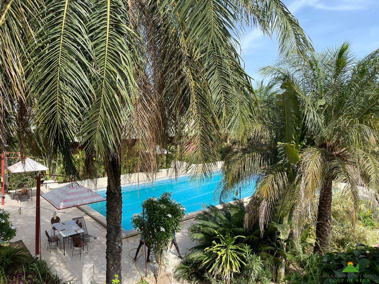 WhatsApp Image 2023-06-14 at 10.40.46