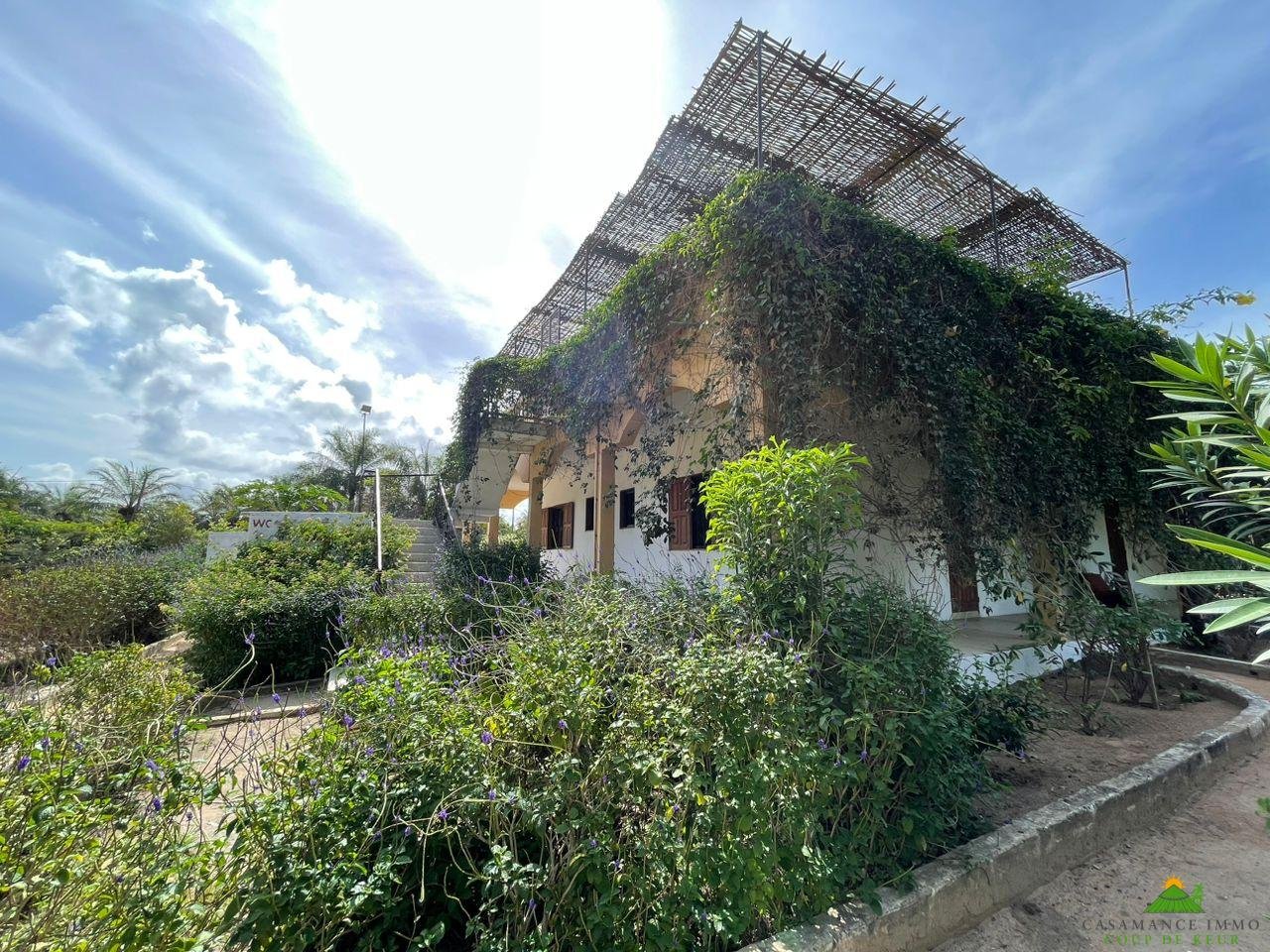 WhatsApp Image 2023-06-14 at 10.40.53