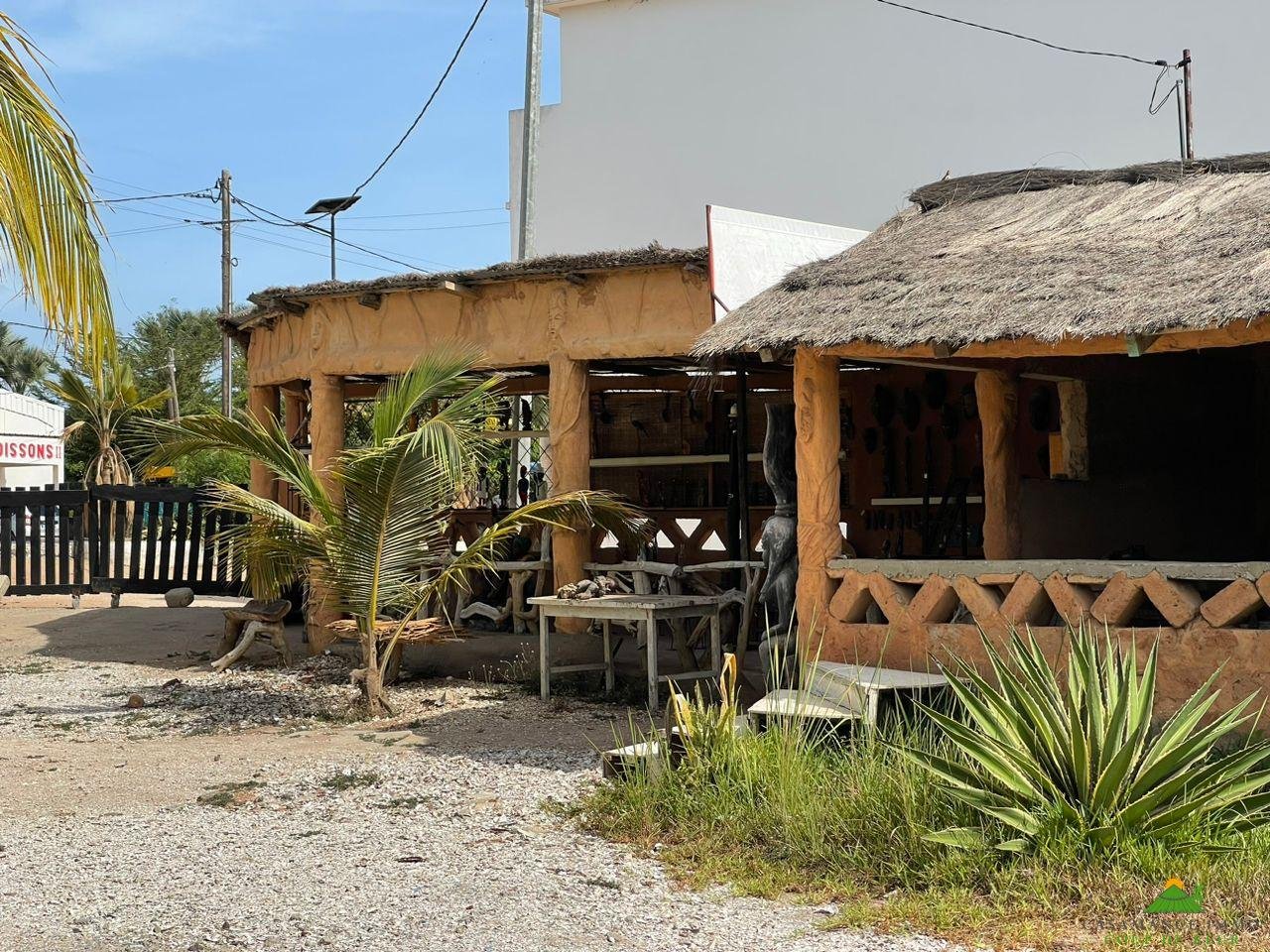 WhatsApp Image 2023-06-14 at 10.41.33