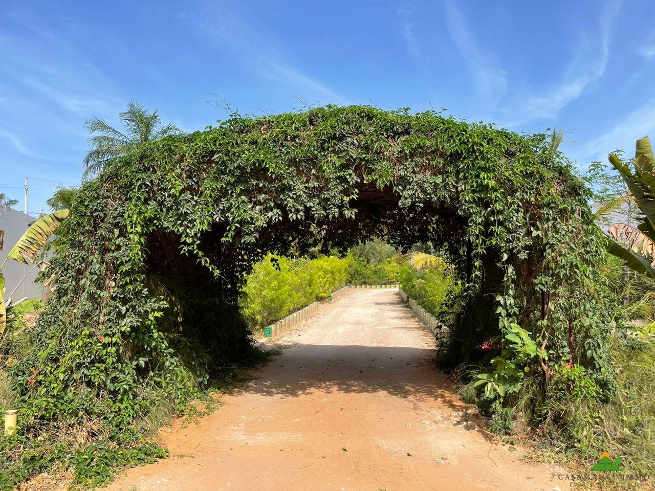 WhatsApp Image 2023-06-14 at 10.41.37 (1)