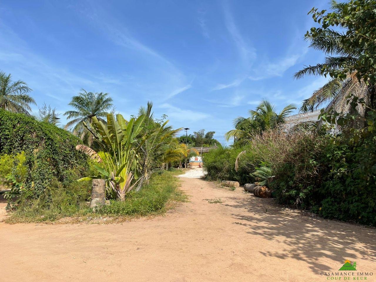 WhatsApp Image 2023-06-14 at 10.41.38