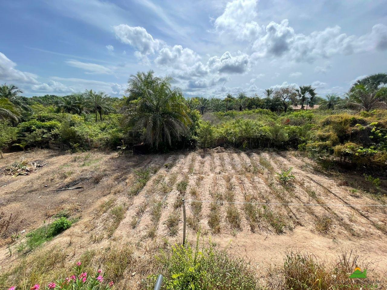 WhatsApp Image 2023-06-14 at 10.40.20